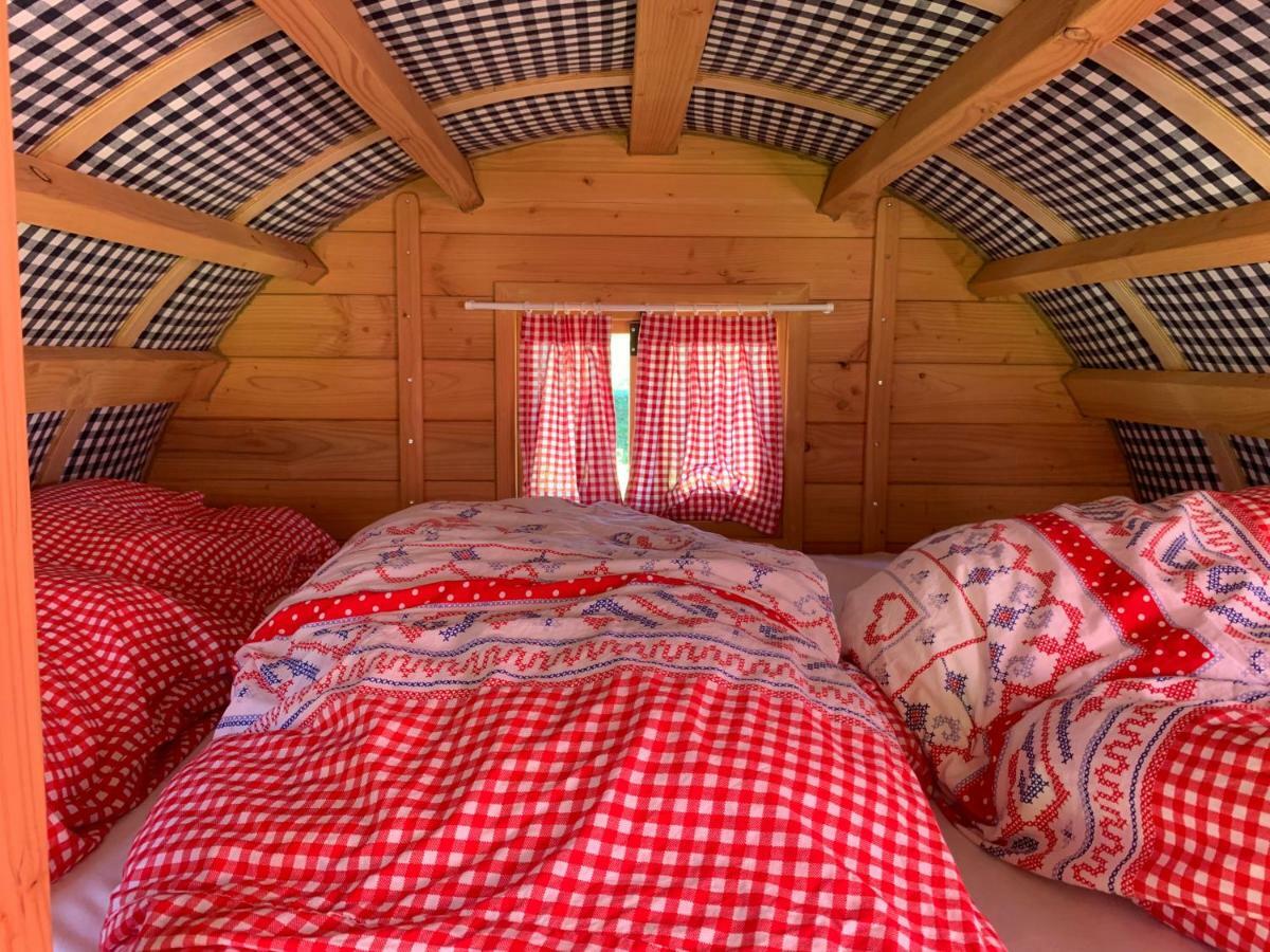 #Glamping@De Verloren Sinjoor Bladel Luaran gambar